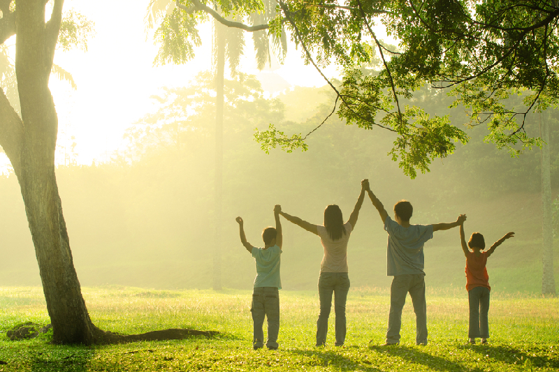 Life Insurance